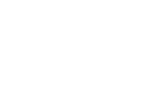 BLE-Solutions_LOGO_WHITE